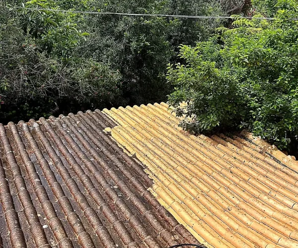 limpieza tejados